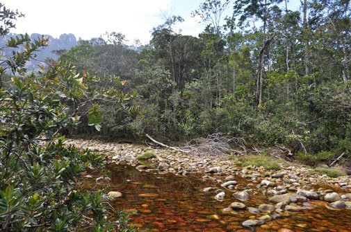 canaima2