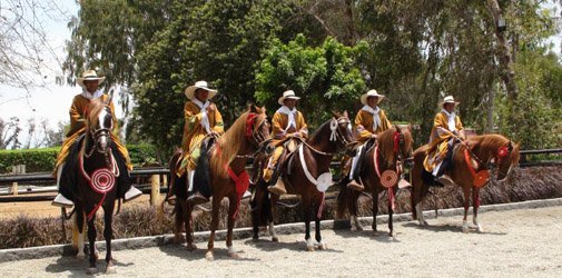 lima-caballos1