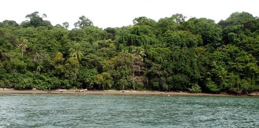 dominical-costa-rica