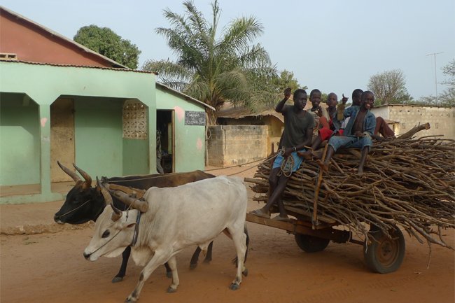 Gambia_Africa