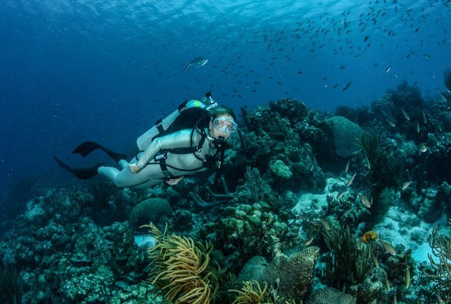 Buceo en las profundidades de la Isla Bonaire