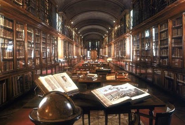 La biblioteca de Turin