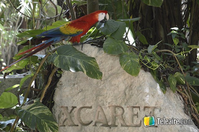 Los parques de Riviera Maya