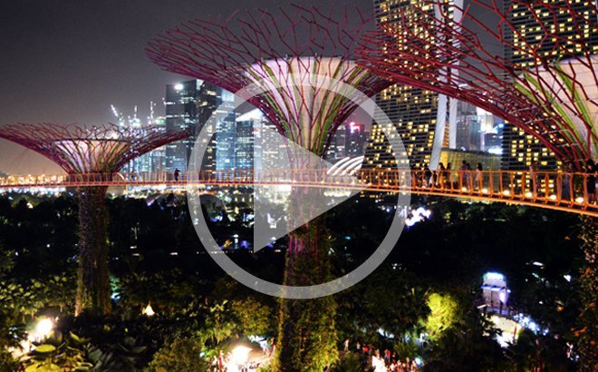 Supertrees en Singapur