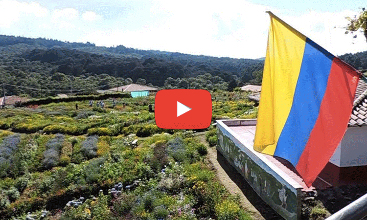 Feria de las Flores en Medellín, Colombia