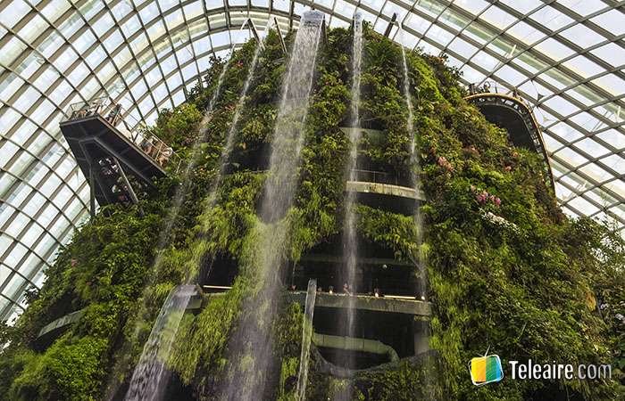 Cascada del Gardens by the Bay en Singapur