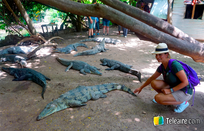 Gambia turismo: tocar cocodrilos