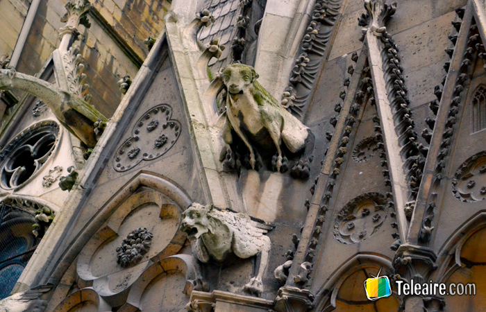 Detalle de alguna de las más de las cincuenta gárgolas que decoran la Catedral de Notre Dame