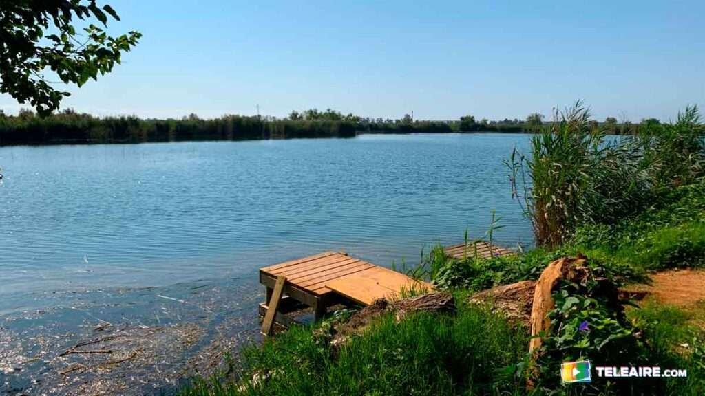 Roadtrip por la Comunidad Valenciana - Albufera