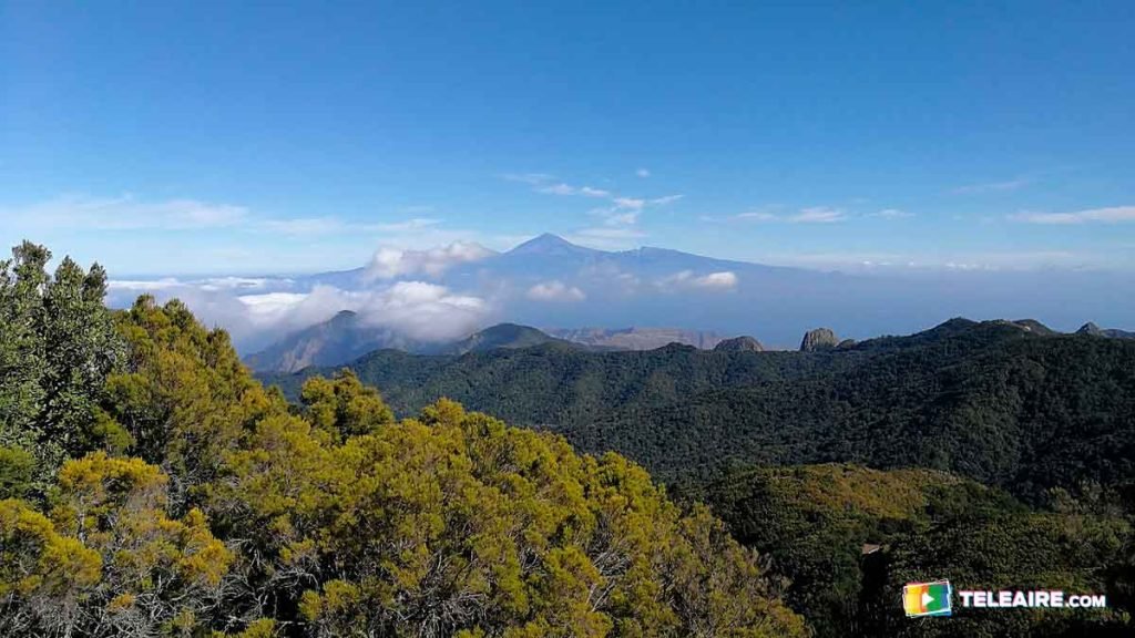 parque nacional de garajonay patrimonio de la humanidad