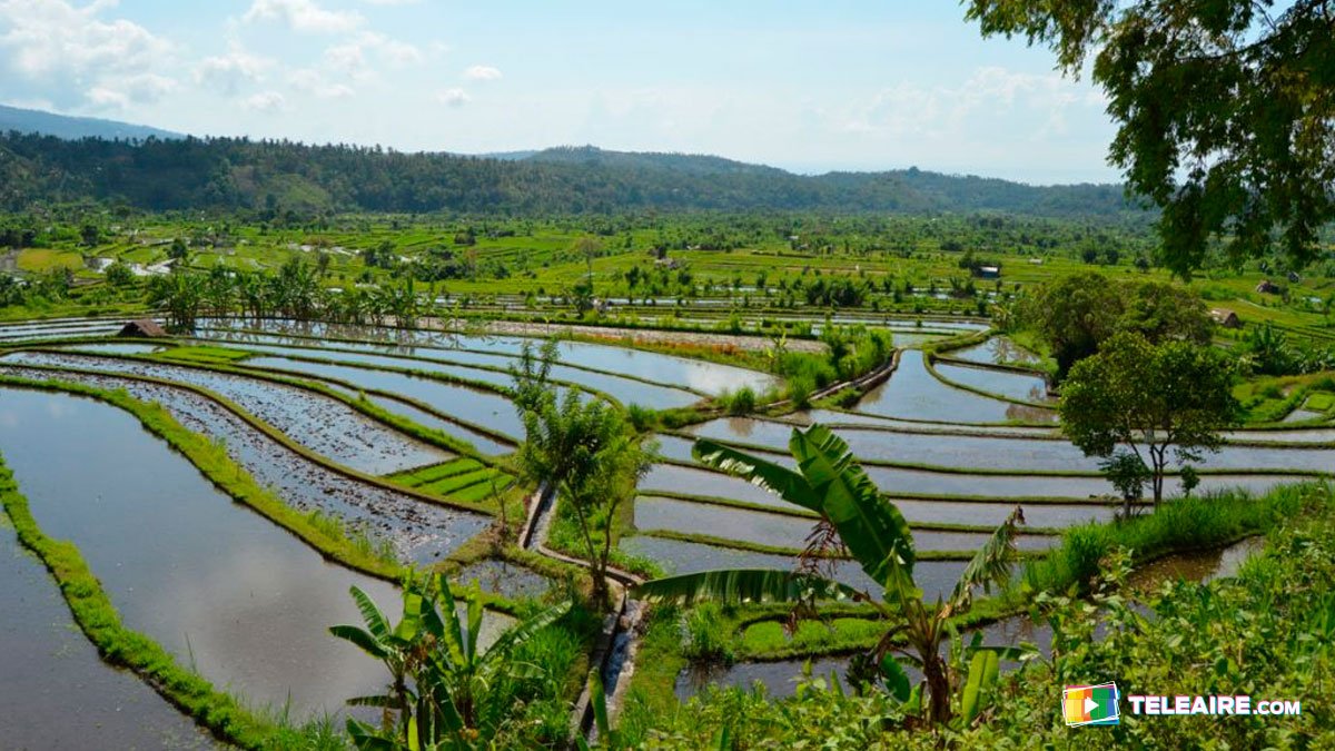 Indonesia, uno de los 5 mejores países para viajar solo en Asia